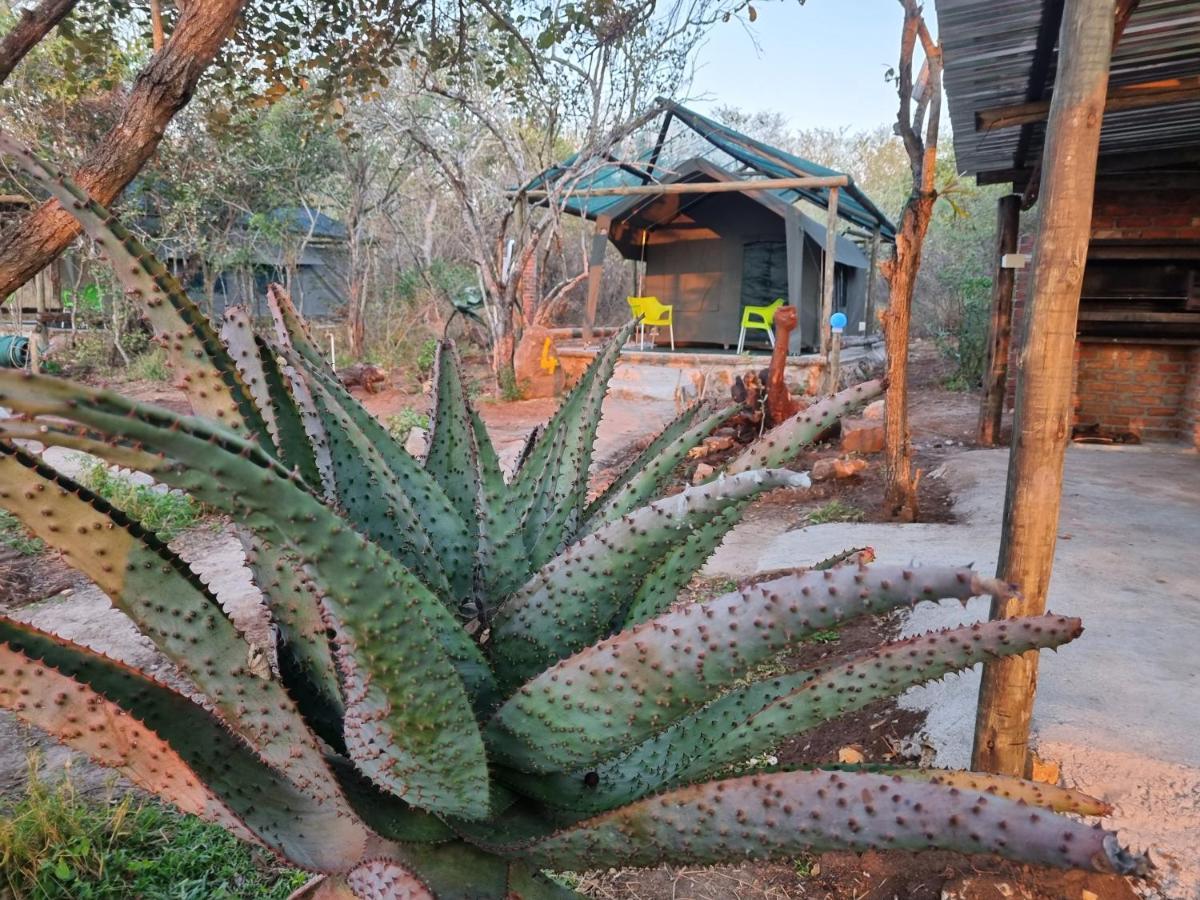 Doringpoort Lodge Marloth Park Exterior photo